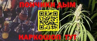 гашик Камышлов