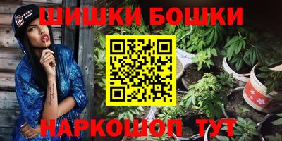 гашик Камышлов
