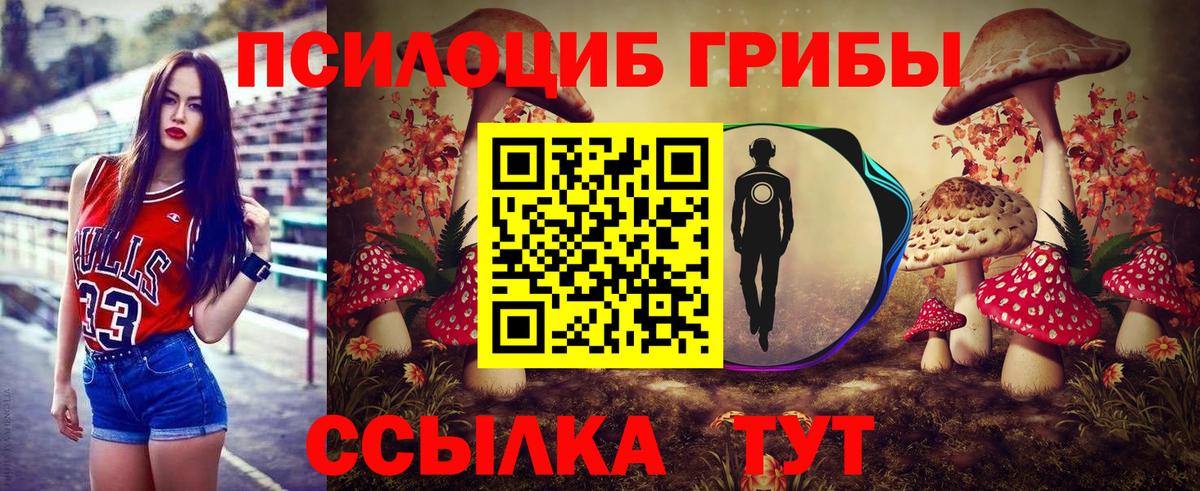 Псилоцибиновые грибы мицелий Арсеньев